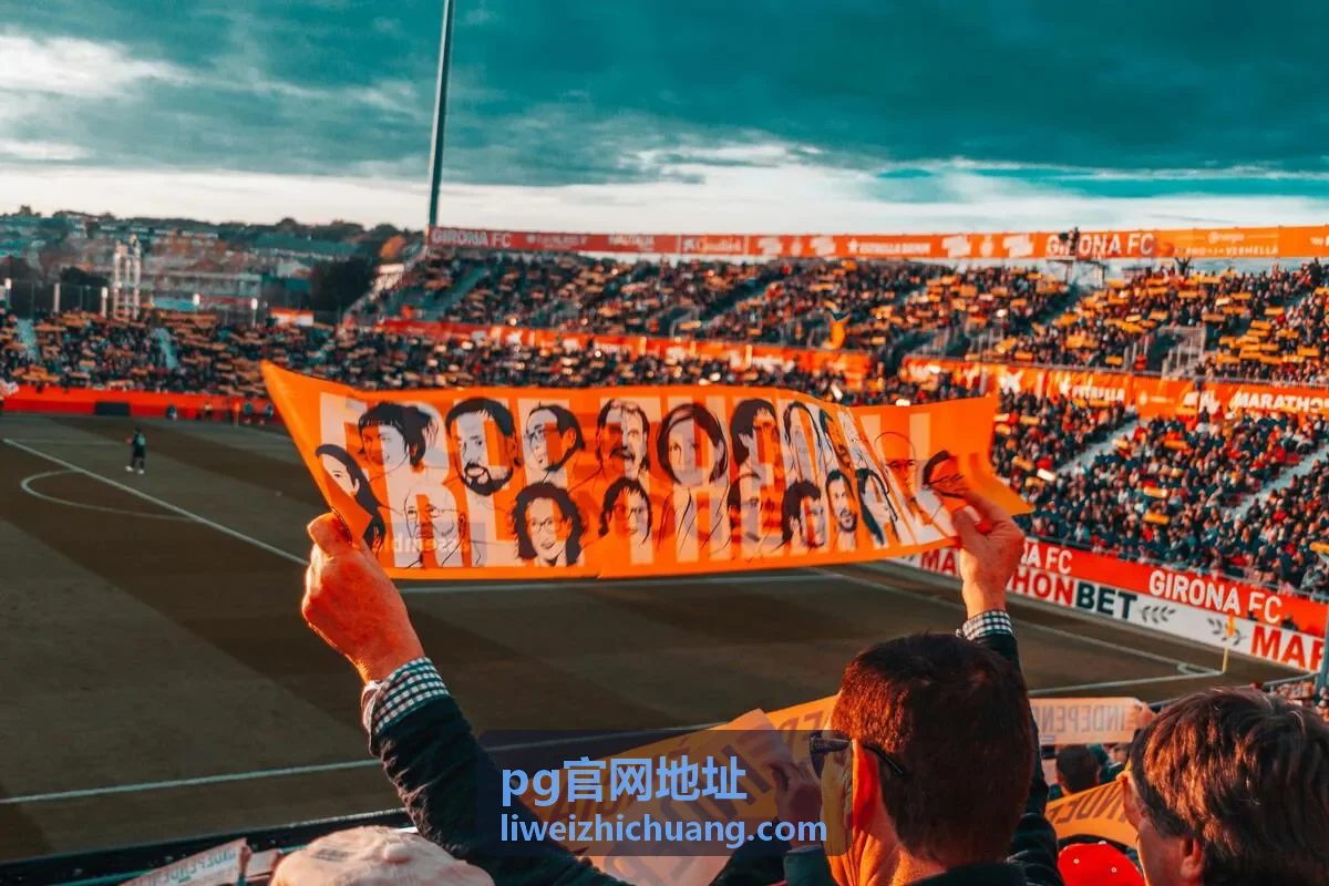 pg官网地址入口核验演示画面