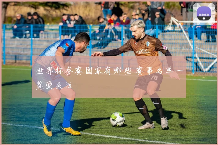世界杯参赛国家有哪些 赛事名单一览受关注